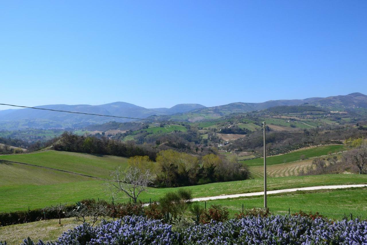 Agriturismo Villa Rosetta San Severino Marche Exterior foto